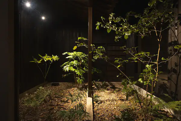 ลานกลาง