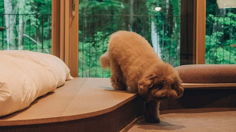 SANU 2nd Home Yatsugatake 2nd