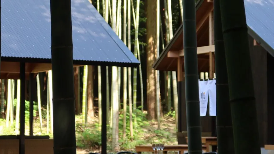 and FOREST Katsuura Take no Hanare