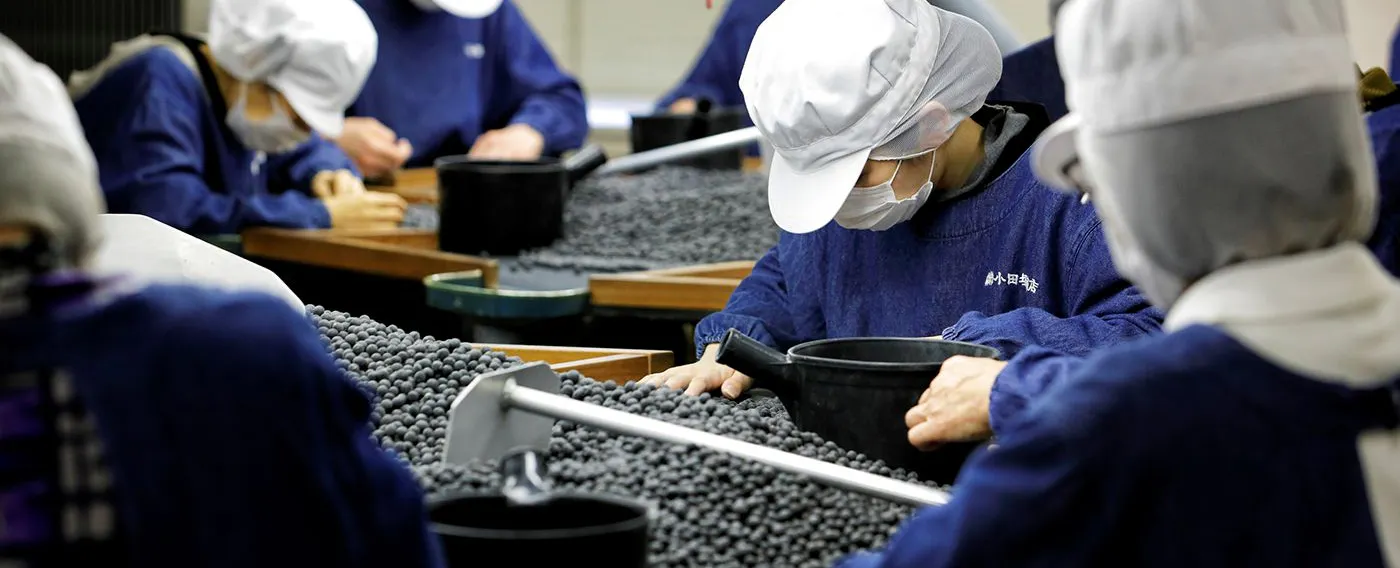 黒豆選別工場