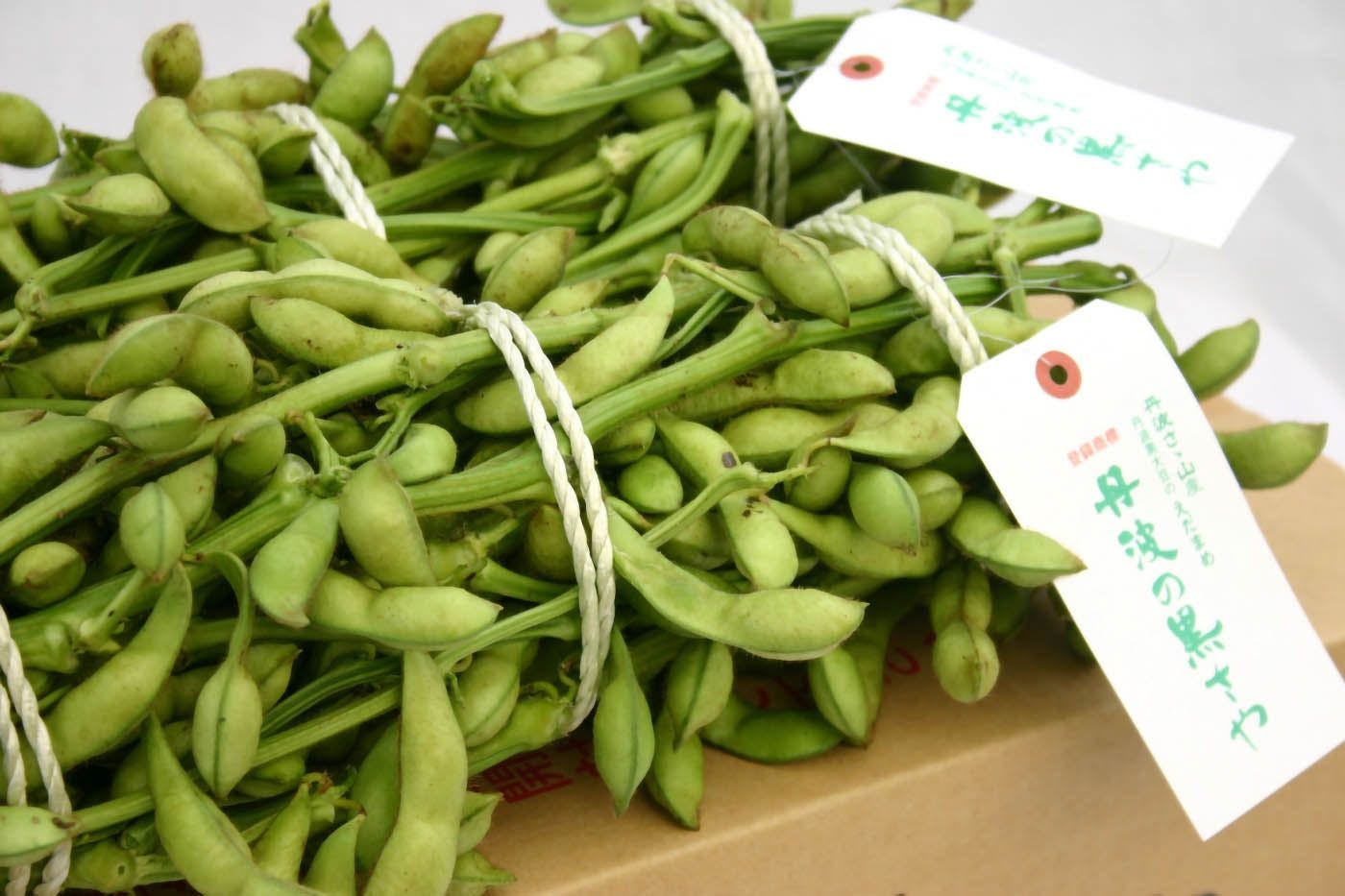 豆家