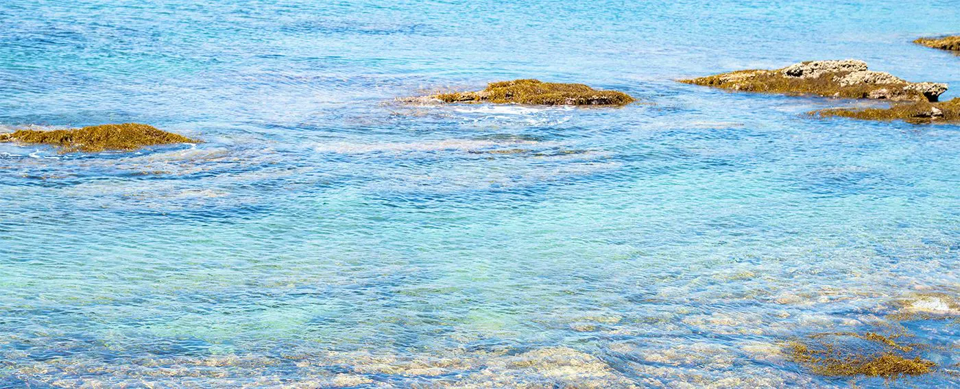 เต็นท์ซาวน่า