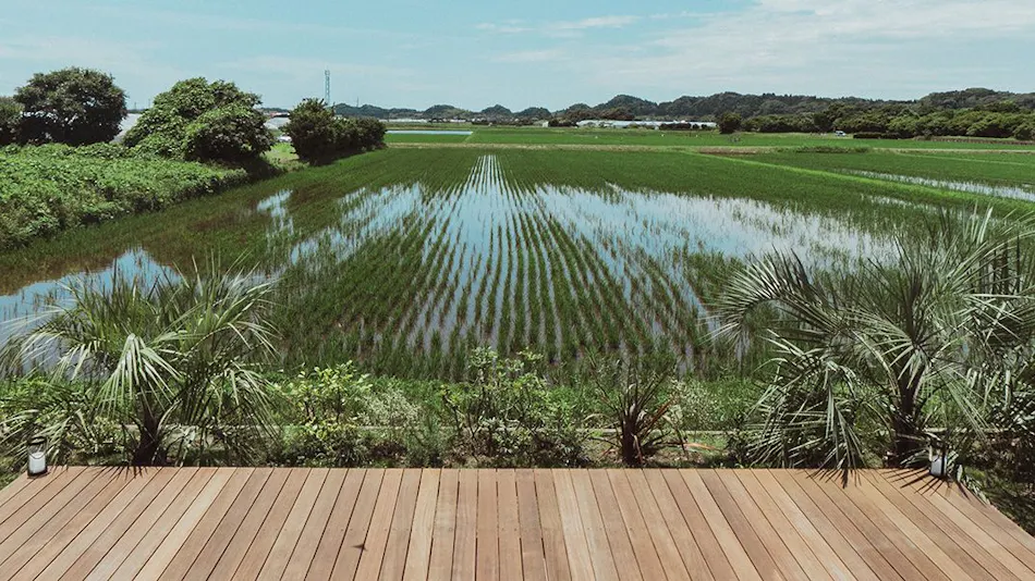 Sawah Torami