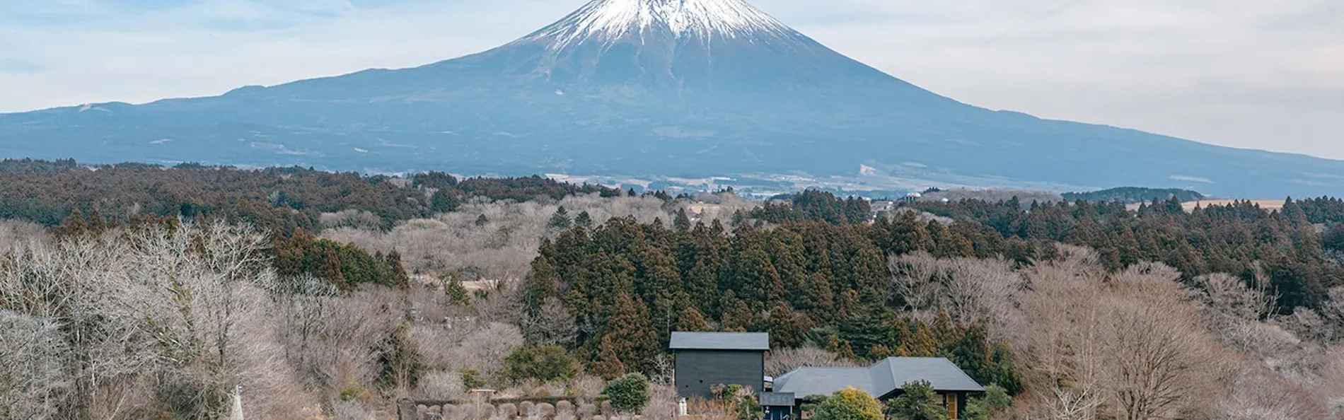 なか富士