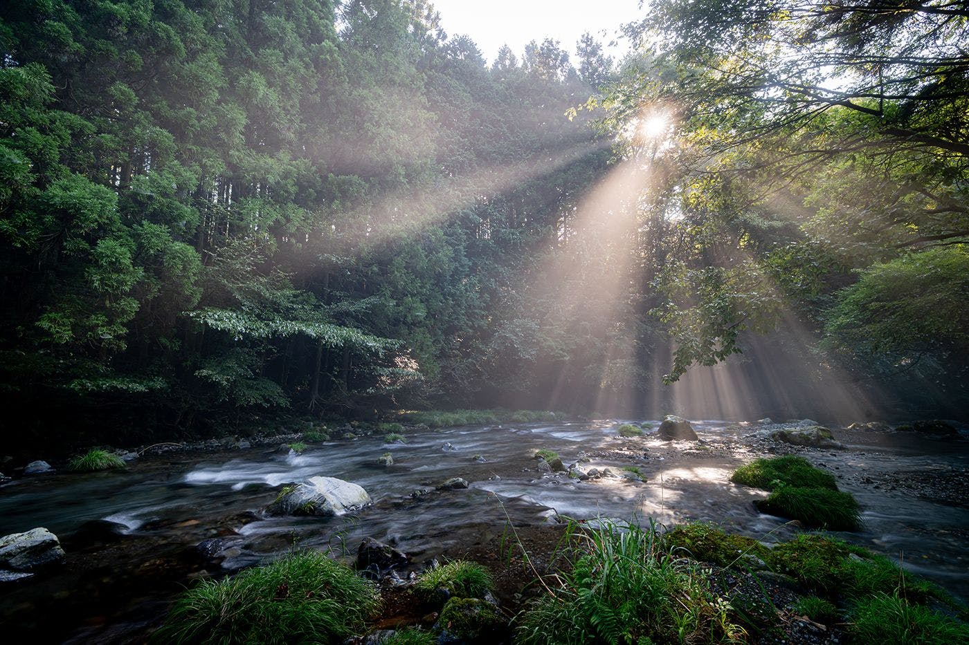 すべての客室棟から富士山を一望