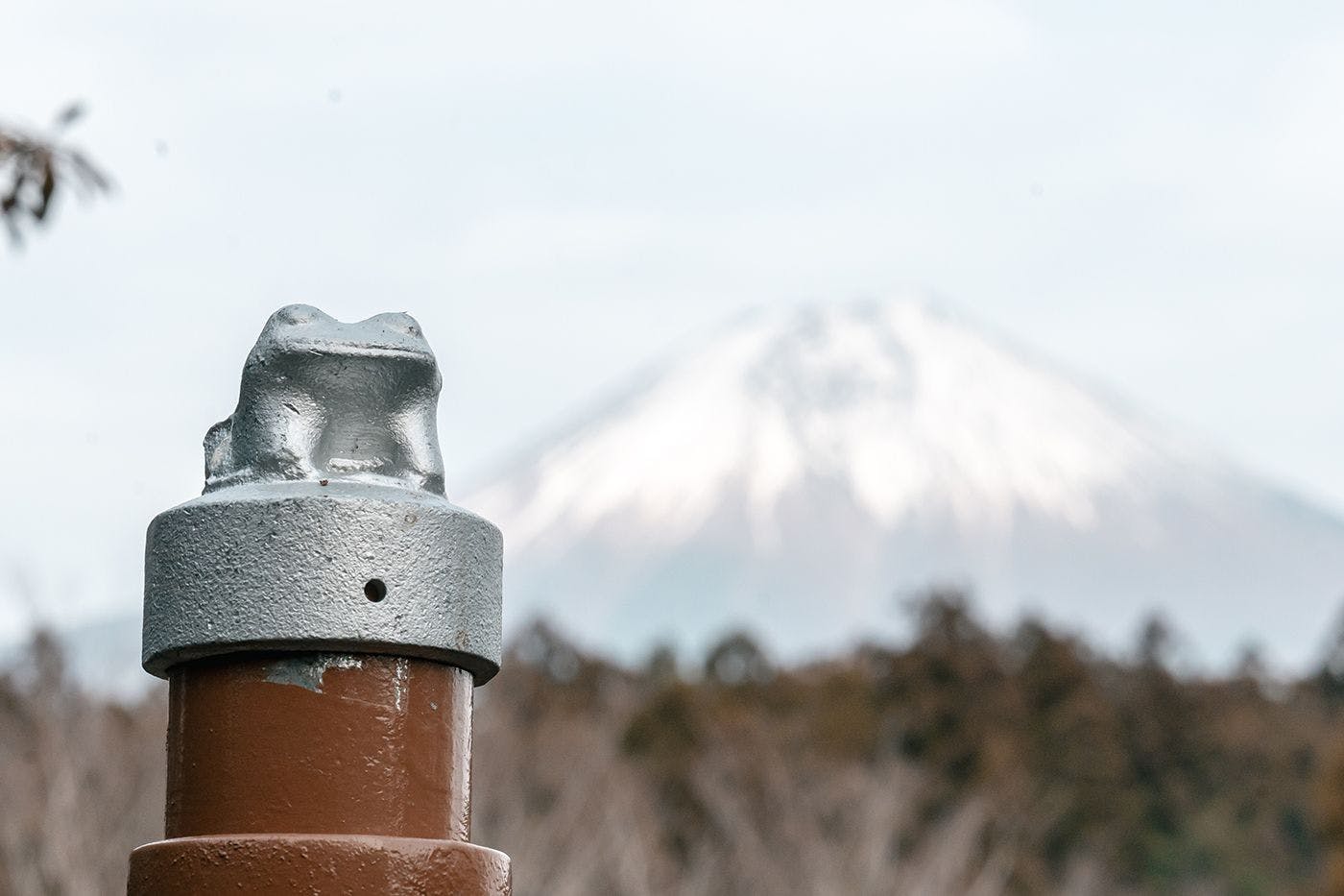 すべての客室棟から富士山を一望