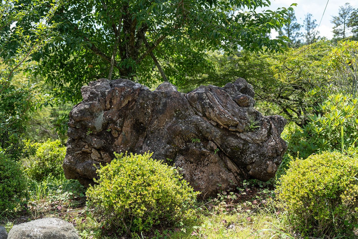 なか富士