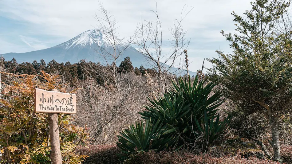 Naka Fuji