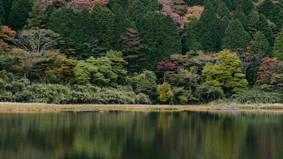 GEOSPOT MOTOHAKONE B