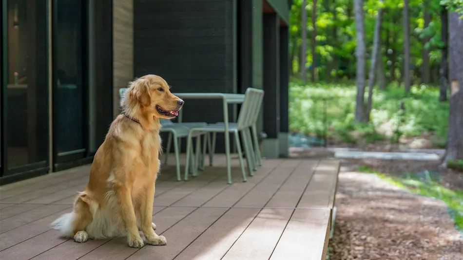 COCO VILLA Kita-Karuizawa 02 – Dog Stay